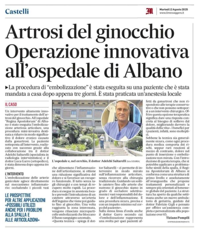 Operazione Adelchi